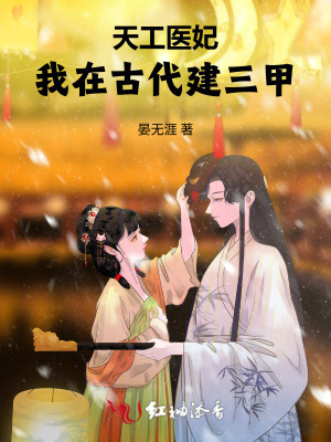 天工医妃:我在古代建三甲