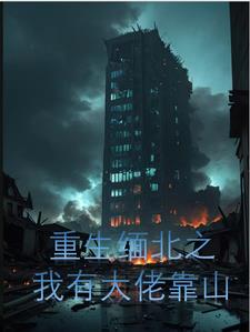 重生后打穿缅北