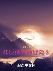 佳辰的奇妙冒险2