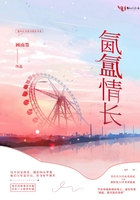 氤氲情长