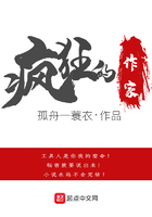 疯狂的作家